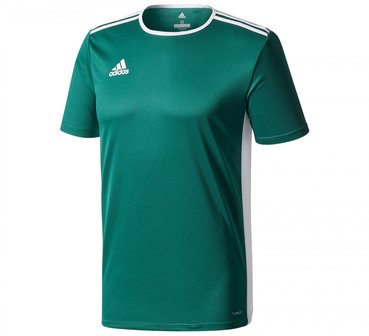 Adidas sportshirt donkergroen