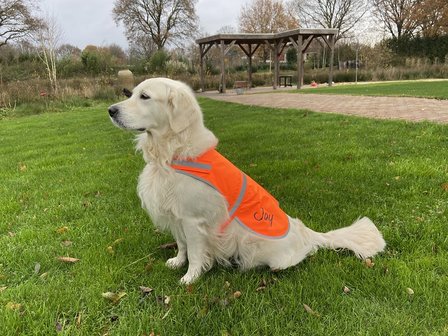 Veiligheidsvest hond