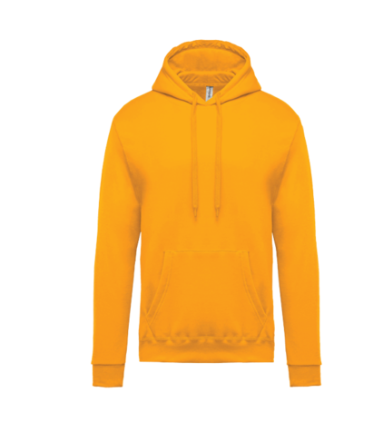 Hoodie - 10 beschikbare kleuren