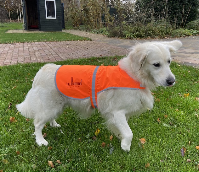 Veiligheidshesje hond bedrukken